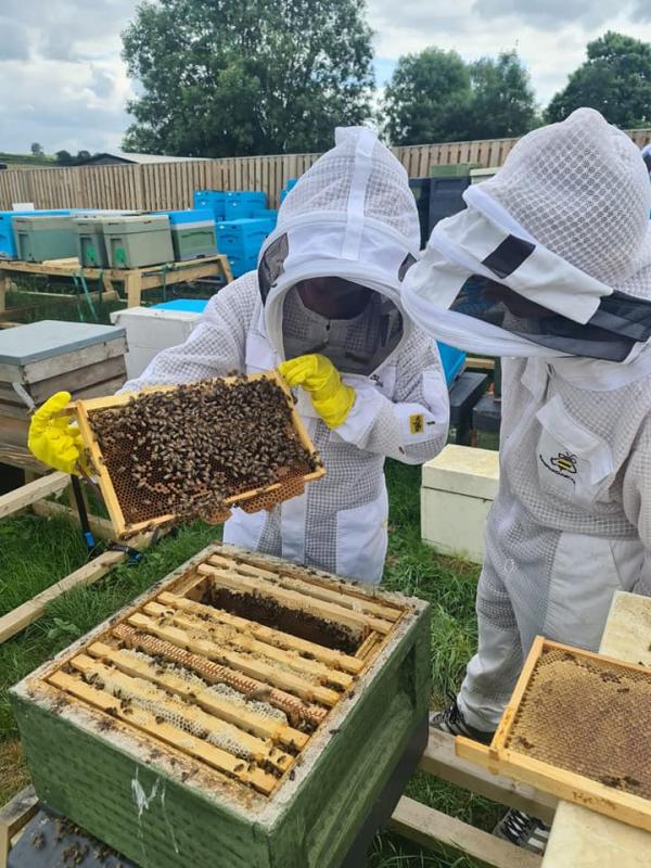 Yorkshire Beekeeping Experience Half Day