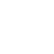 white line drawing of compass icon