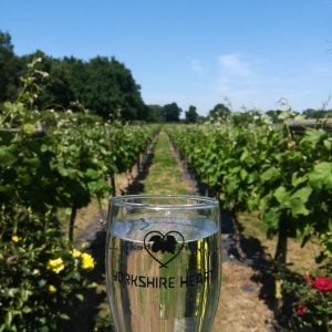 Guided Tour of the Yorkshire Heart Vineyard followed by Wine Tasting & Nibbles
