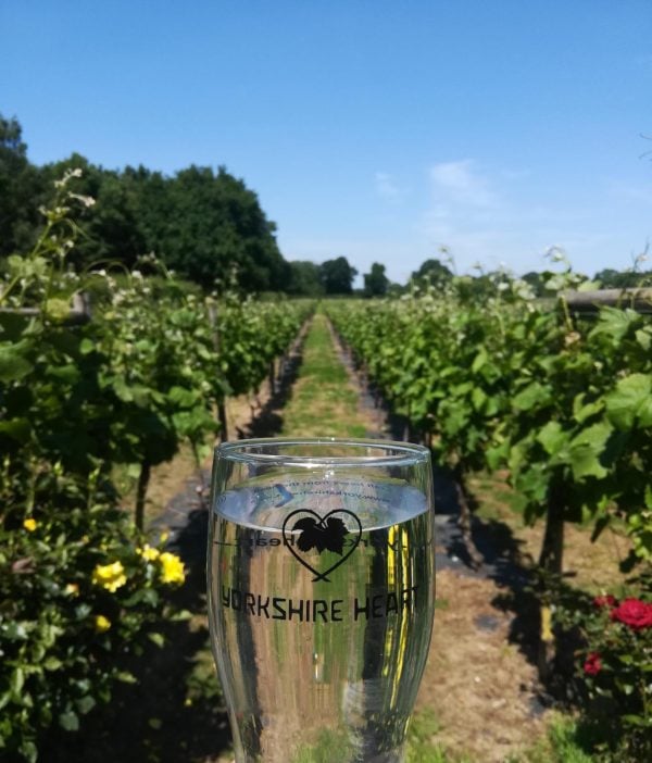 Guided Tour of the Yorkshire Heart Vineyard followed by Wine Tasting & Nibbles