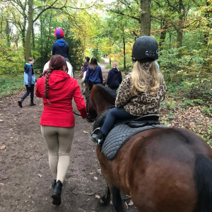 half hour horse riding experience near sheffield