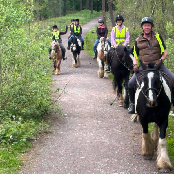half hour horse riding experience near sheffield