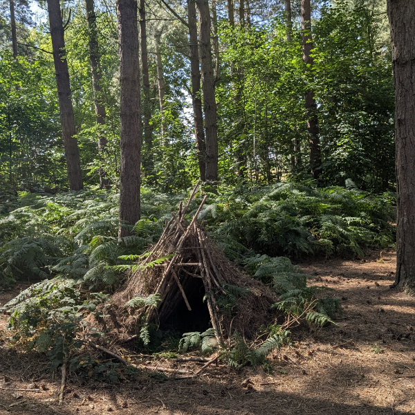 half day bushcraft basics & forest skills experience near york