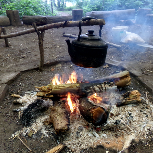 half day bushcraft basics & forest skills experience near york