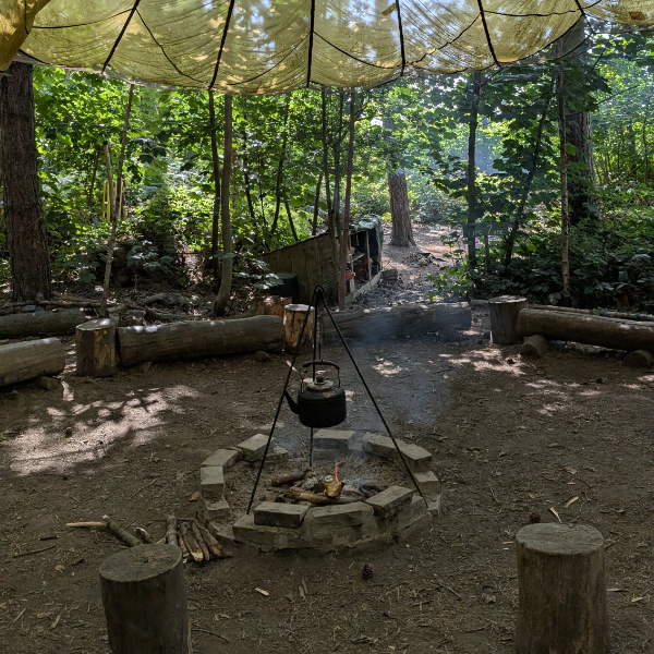 half day bushcraft basics & forest skills experience near york