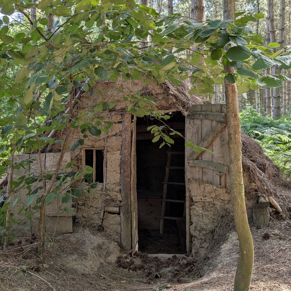 half day bushcraft basics & forest skills experience near york