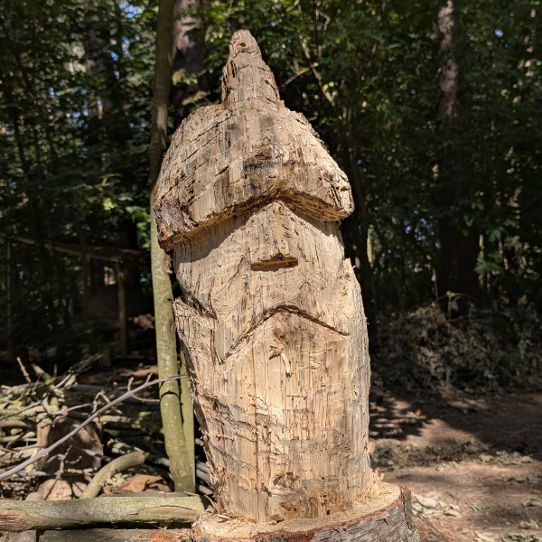 half day bushcraft basics & forest skills experience near york