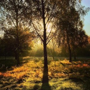 Autumn Adventures in Yorkshire