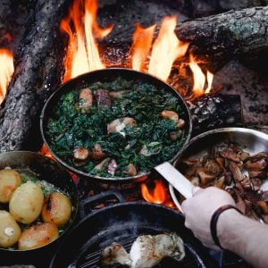 Forage and cook experience in Yorkshire