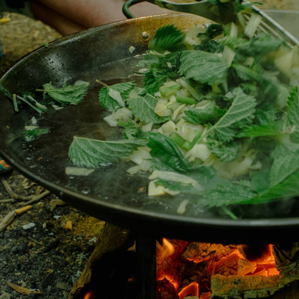 forage and cook for one foraging experience in yorkshire with foraged lunch included
