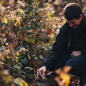 forage and cook for one foraging experience in yorkshire with foraged lunch included