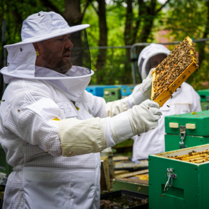 david talking about the bees - bee keeping experience yorkshire - Uniquely Local
