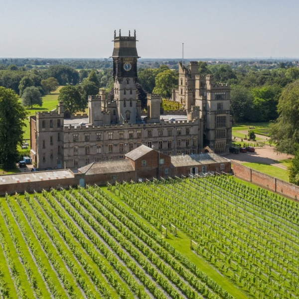 Vineyard at Carlton Towers