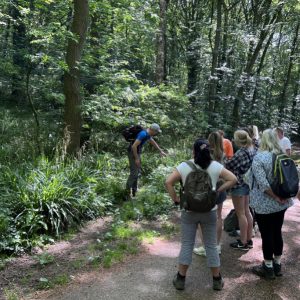 Full Day Yorkshire Foraging Course in Huddersfield and Northallerton