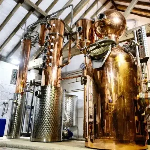 One Hour Distillery Tour at Whitby Gin