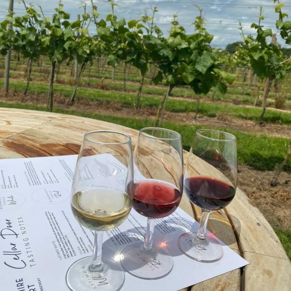Yorkshire Heart Classic Cellar Door Wine Tasting for Two People