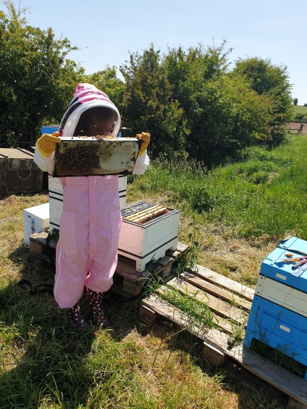 Yorkshire Beekeeping Experience - Full Day