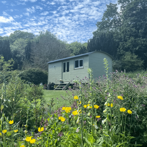 Two Night Shepherds Hut Stay North York Moors