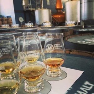 One Hour Yorkshire Whisky Distillery Tour and Tasting
