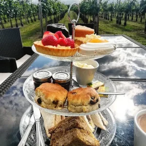 Vineyard tour and tasting with afternoon tea