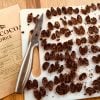 Chocolate Manufactory Tasting Journey in York