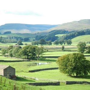 Private Driver Guided Group Tour of Yorkshire