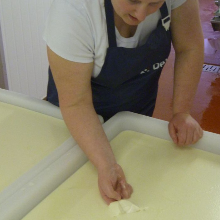 Cheese Making Courses at The Courtyard Dairy in The Yorkshire Dales - Image 2