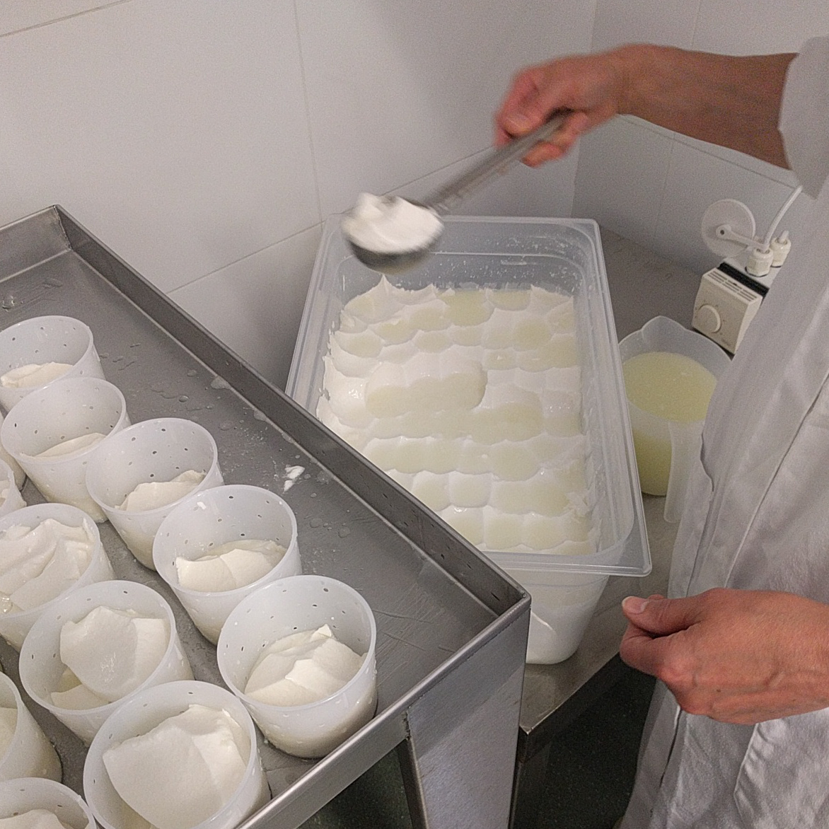 Cheese Making Courses at The Courtyard Dairy in The Yorkshire Dales - Image 3