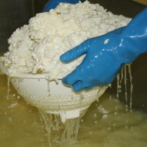 Cheese Making Courses at The Courtyard Dairy in The Yorkshire Dales