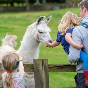 Wensleydale Farming Experience for a Family of Four