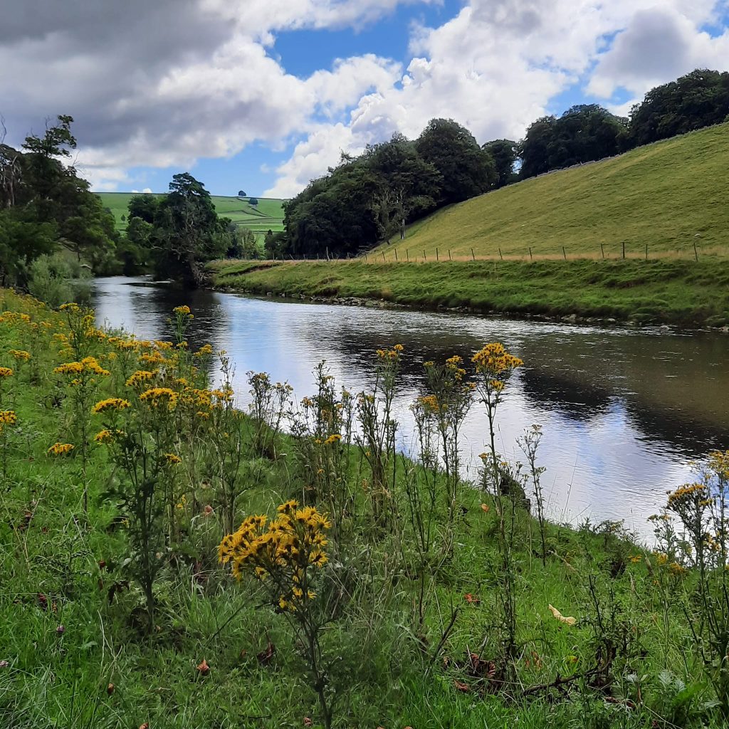 Wild swimming in the river wharfe near Burnsall