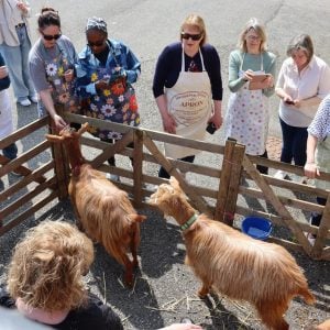 Goats Milk Soap Making Workshop near York