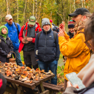 foraging experience near leeds