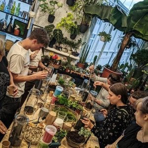 Terrarium Making Experience in Leeds