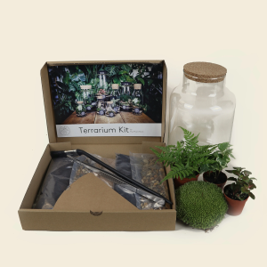 DIY Terrarium Kit with Jar and Plants