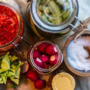 Full Day Gut Health Lifestyle Workshop for One Person in Halifax