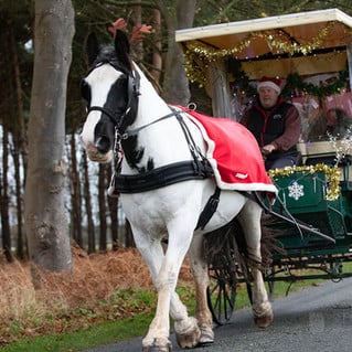 Gordon Grimshaw from Little Skipwith Carriage Rides
