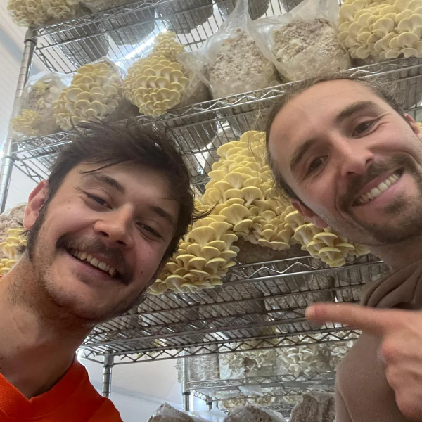 Mushroom Farm Experience - BUsiness Owners