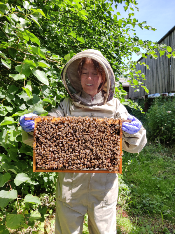 sally - beekeeping