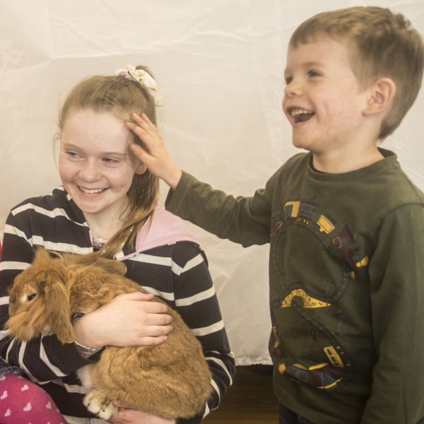 family animal handling experience for up to 6 people in yorkshire