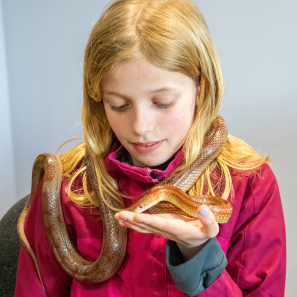 family animal handling experience for up to 6 people in yorkshire