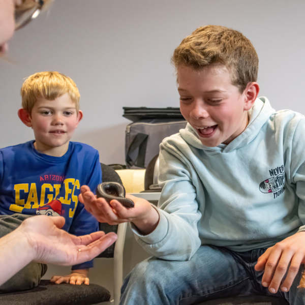 family animal handling experience for up to 6 people in yorkshire