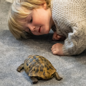 family animal handling experience for up to 6 people in yorkshire