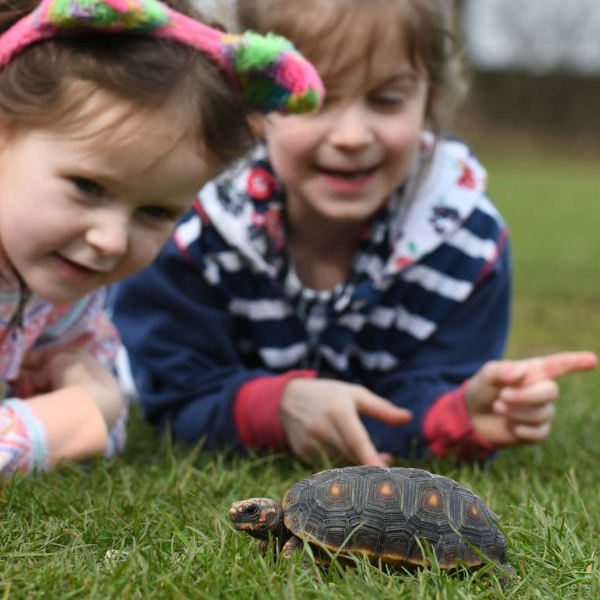 family animal handling experience for up to 6 people in yorkshire
