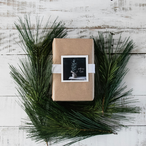 Photo by Debby Hudson on Unsplash