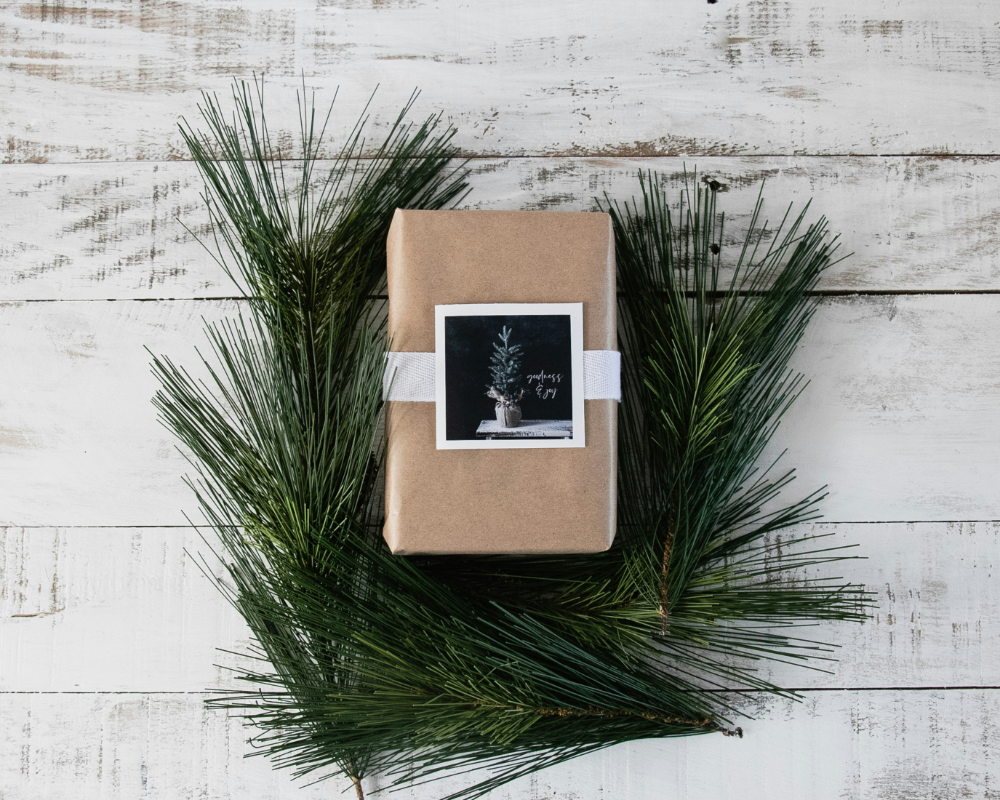 debby hudson m0wfl1tg 1i unsplash