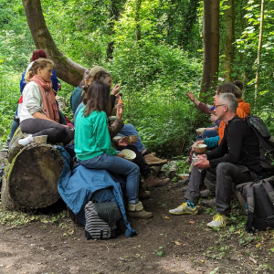 half day foraging experience in sheffield with foraged lunch