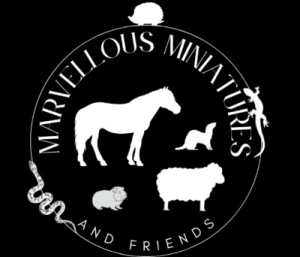family sheep meet and greet experience near york