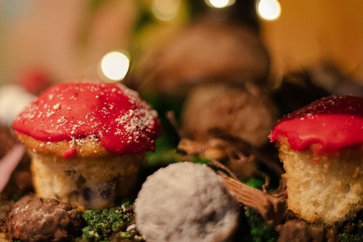 magical fairy garden & afternoon tea experience for two near york