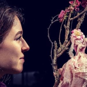 magical fairy garden & afternoon tea experience for two near york